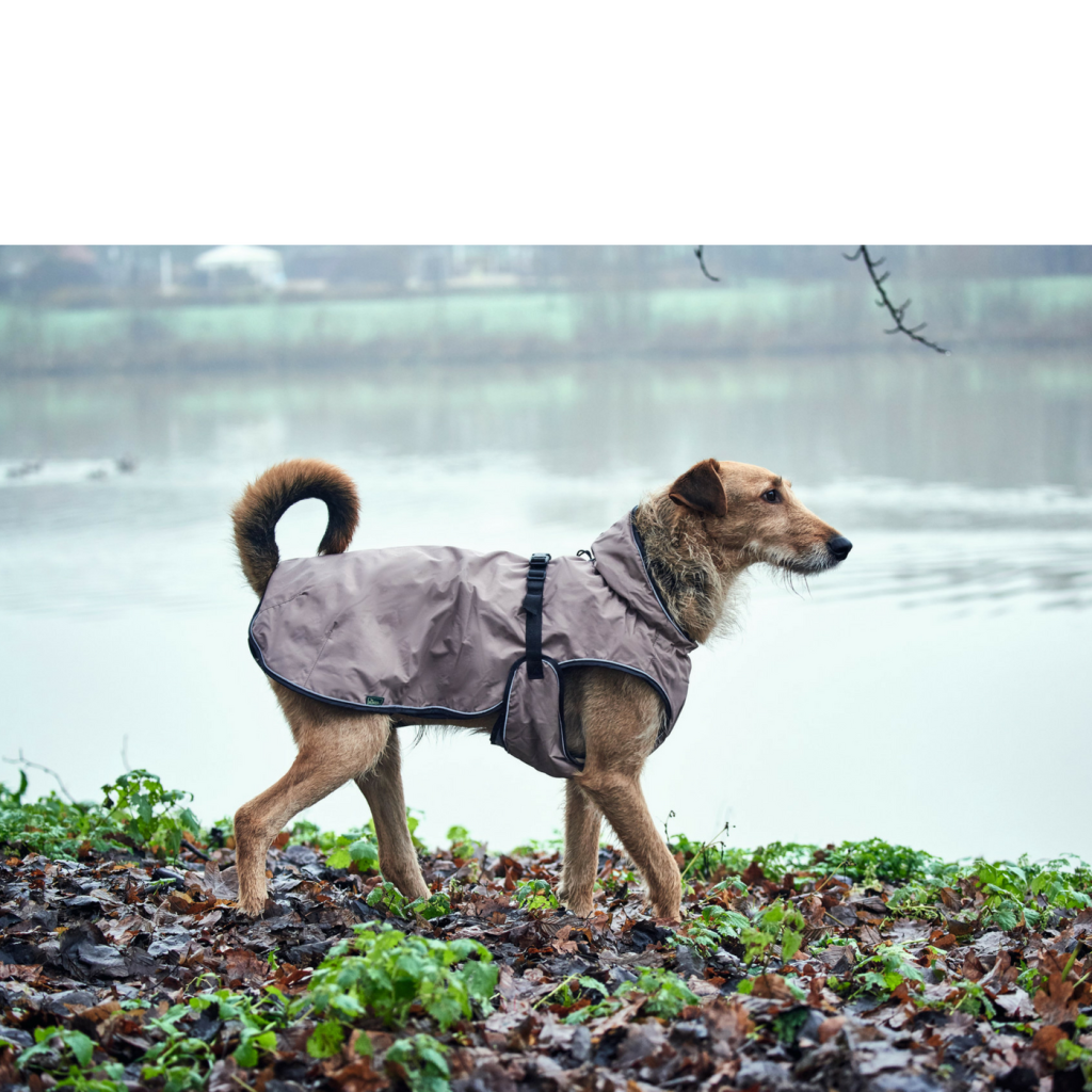Hunter Cappottino per Cani Uppsala Beige