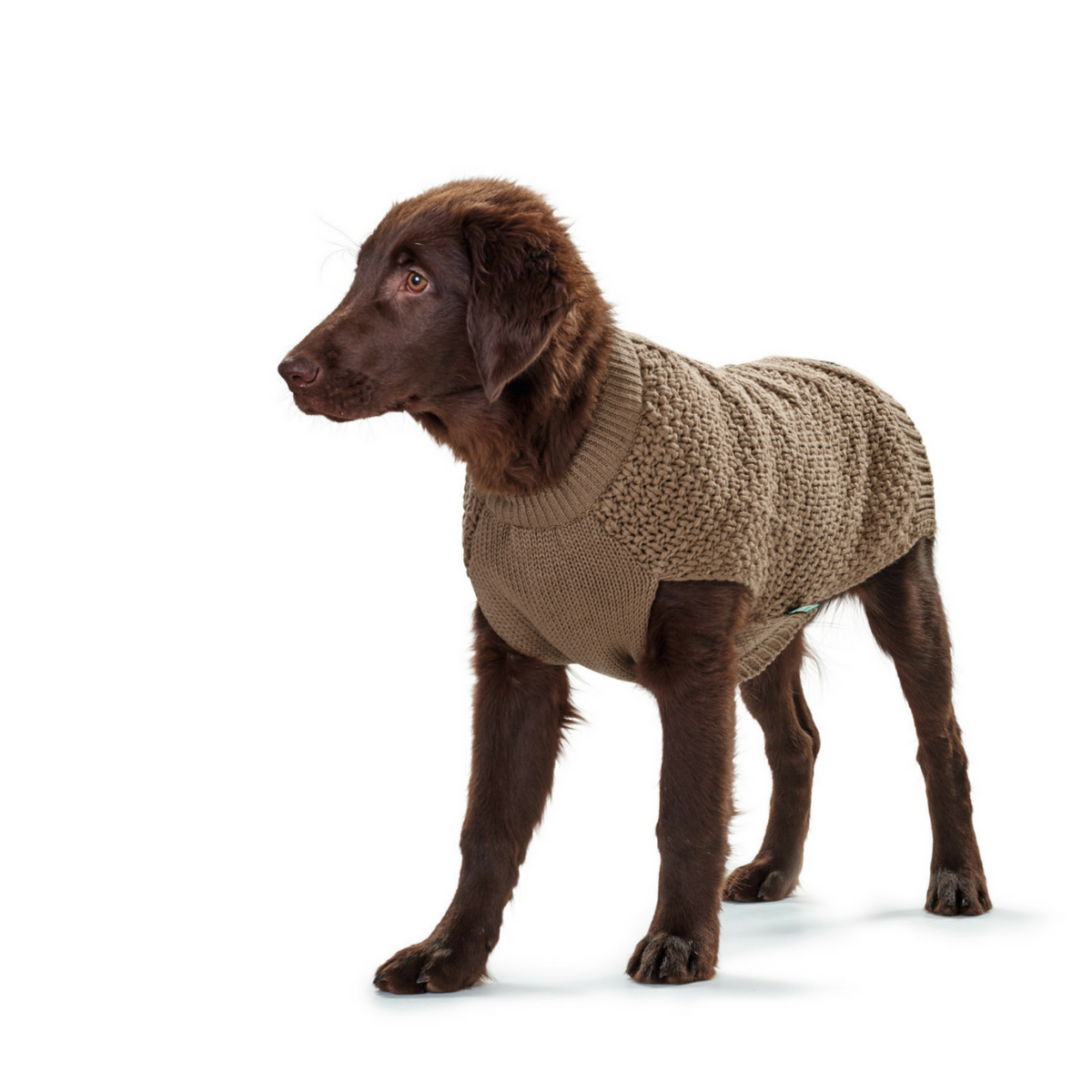 Hunter Maglioncino Pullover per Cani MALMÖ Beige
