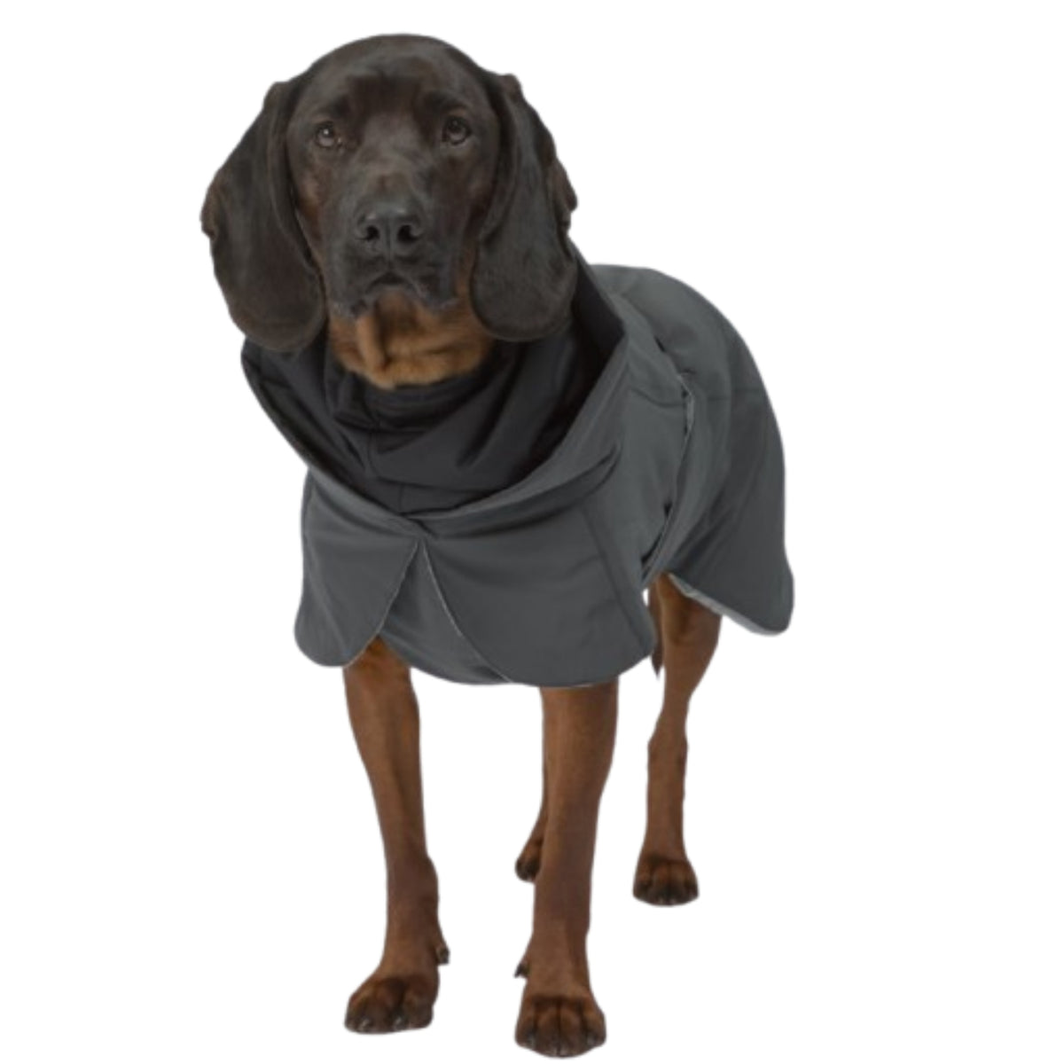 Paikka Giacca Invernale per Cani ad Alta Visibilità Nera