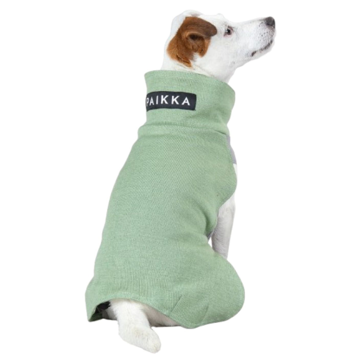 Paikka Maglietta in Tessuto Recovery per Cani Verde Salvia