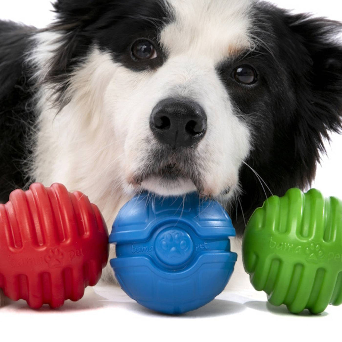Bama Pet Palla Ruga Gioco per Cani