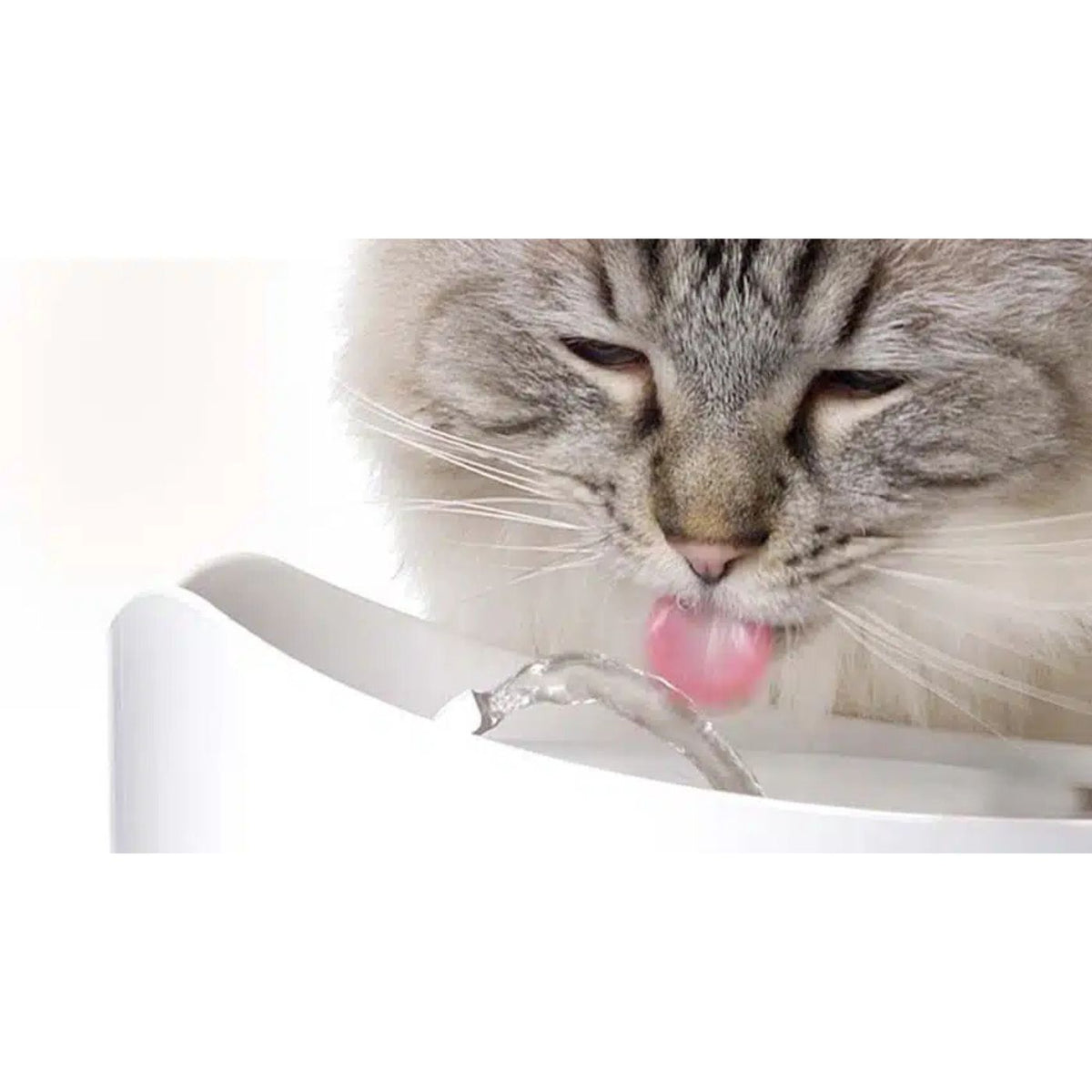 Catit Fontana Automatica per Gatti Pixi Rosa 2,5 L