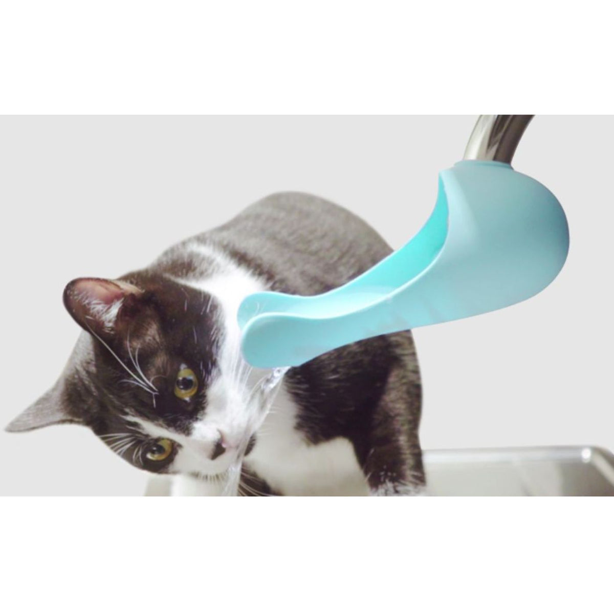 United Pets® Beverino per Gatti in Silicone Gurgle Acquamare