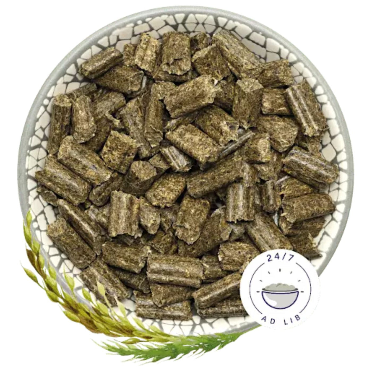 Bunny Sogno per Conigli Basic 600 g