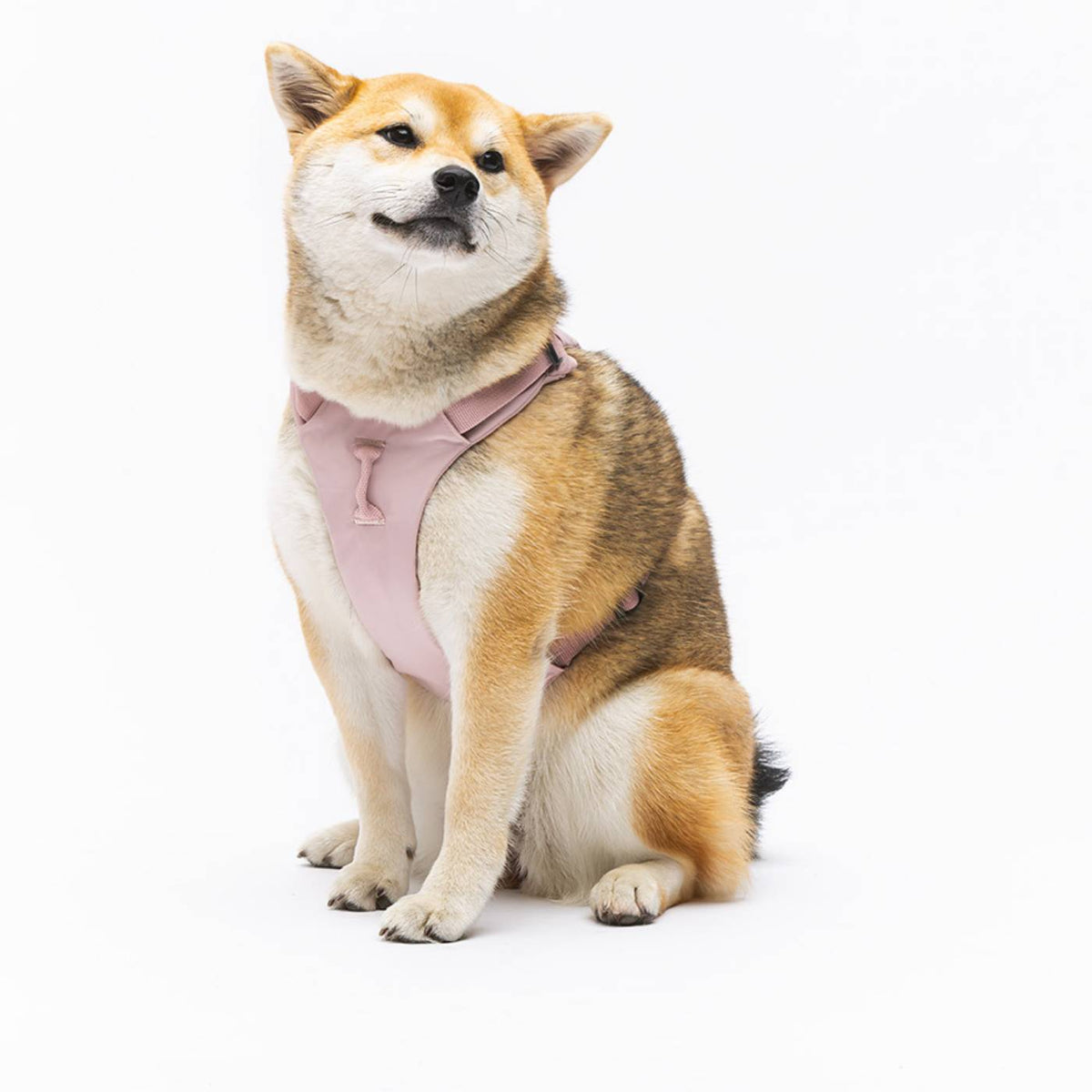 United Pets Pettorina H per Cani Imbottita Linea CityLife Rosa