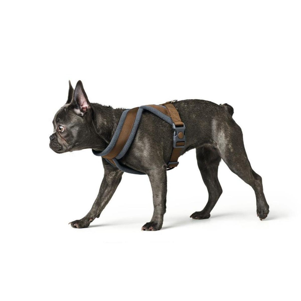 PROMO FINE SERIE !!! Hunter Pettorina per Cani London Comfort Marrone