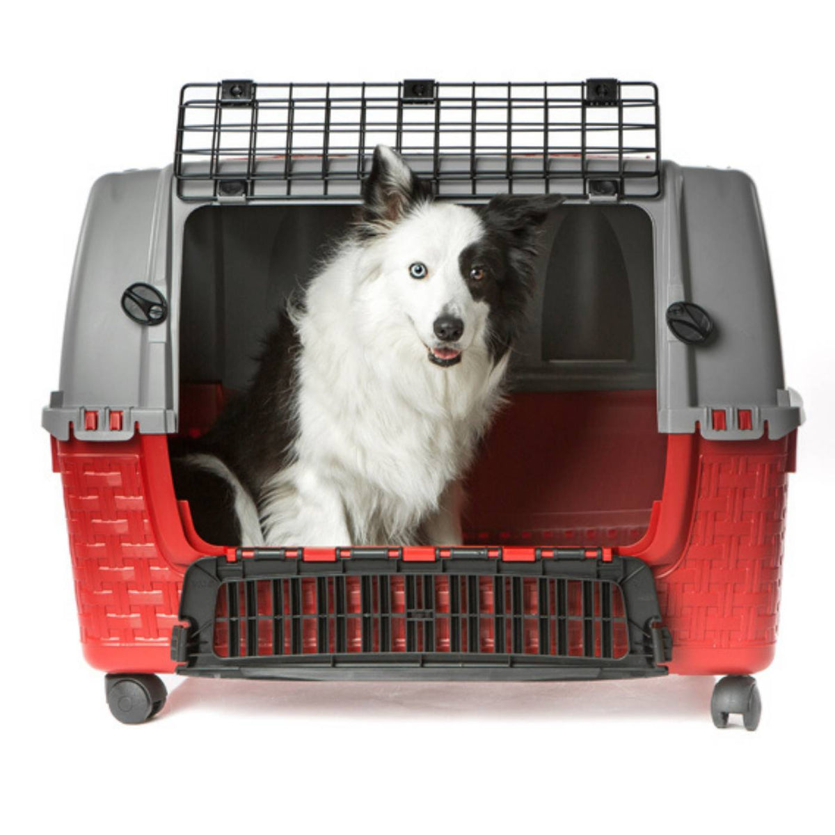 Bama Pet Trasportino Auto per Animali Easy Tour con Ruote Bordeaux