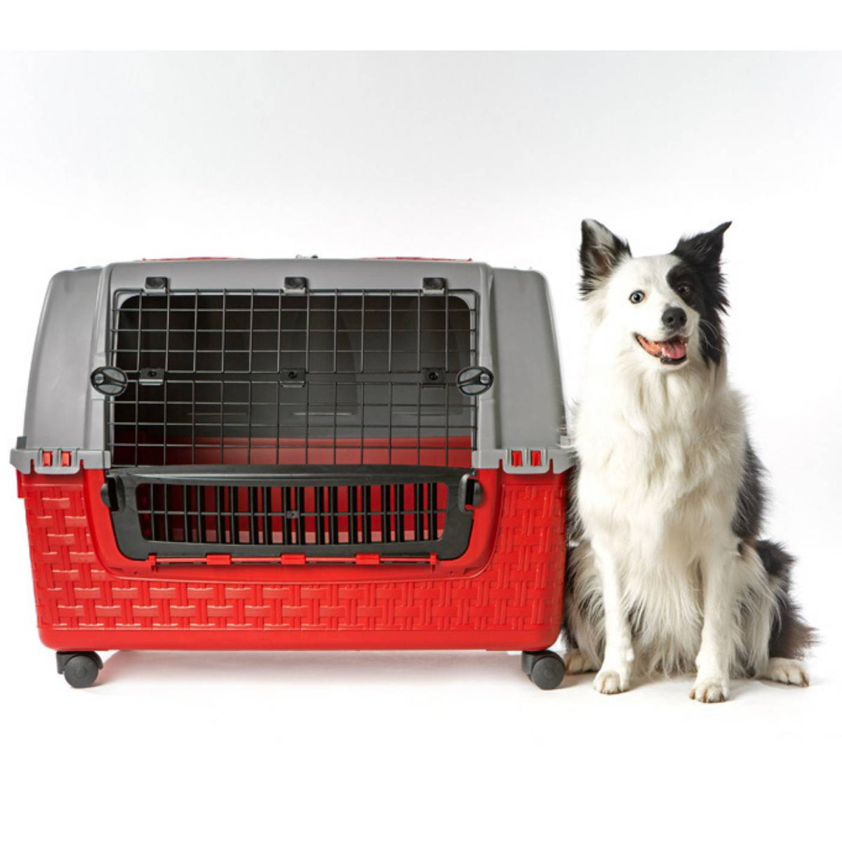 Bama Pet Trasportino Auto per Animali Easy Tour con Ruote Bordeaux