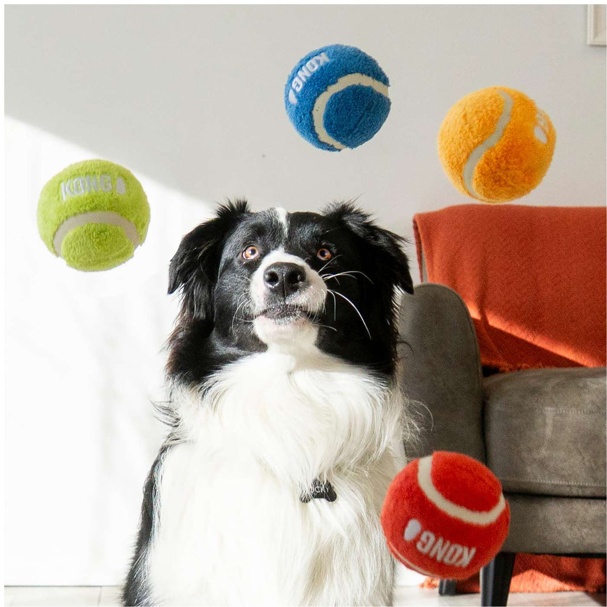 Kong Gioco per Cani Sport Softies Balls 3 pz M
