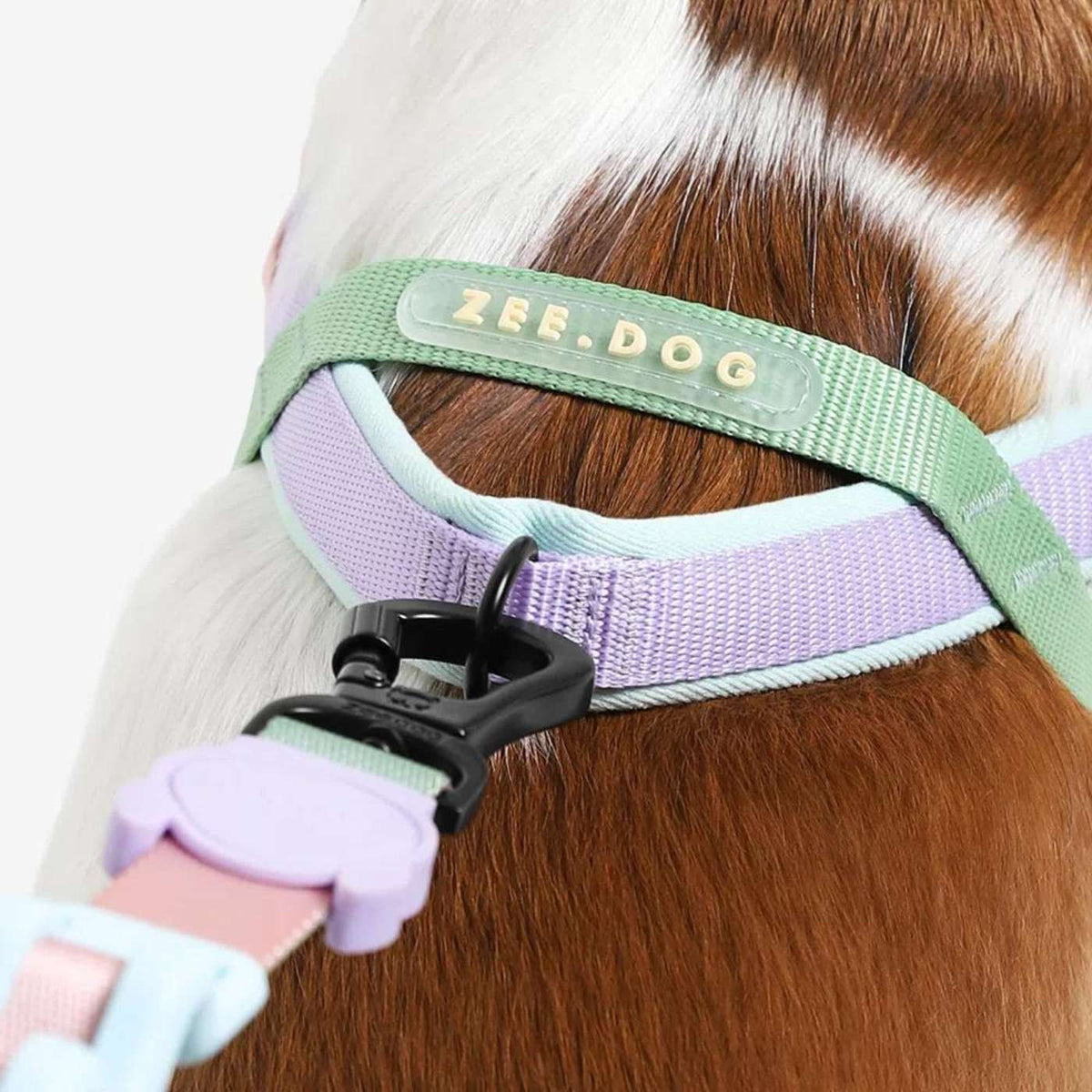 Zee.Dog Pettorina Norvegese Softer-Walk per Cani Peach