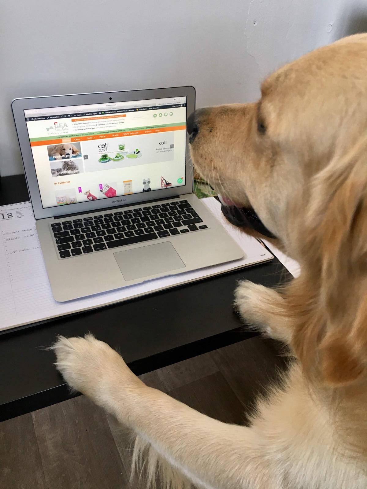 Nasce il nostro e-commerce (foto 2 di 2)